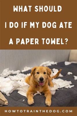 dog ate paper towel how long to pass might we ponder the durability of human relationships in a digital age?